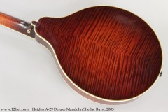 Heiden A-29 Deluxe Mandolin Shellac Burst, 2003 Back View