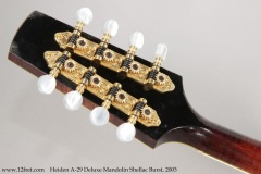 Heiden A-29 Deluxe Mandolin Shellac Burst, 2003 Head Rear View