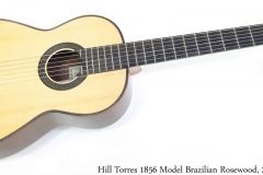 Hill Torres 1856 Model Brazilian Rosewood, 2012 Full Front View