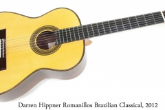 Darren Hippner Romanillos Brazilian Classical, 2012 Full Front View