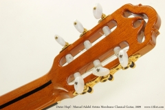 Dieter Hopf - Manuel Adalid Artista Membrane Classical Guitar, 2009  Head Rear View