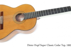 Dieter Hopf Super Classic Cedar Top, 1992 Full Front View