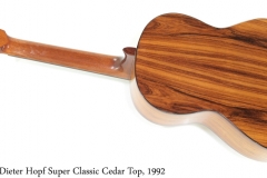 Dieter Hopf Super Classic Cedar Top, 1992 Full Rear View