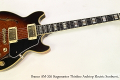 Ibanez AM-205 Stagemaster Thinline Archtop Electric Sunburst, 1982  Full Front View
