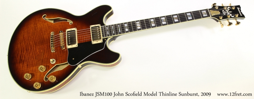 Ibanez JSM100 John Scofield Model Thinline Sunburst, 2009 Full Rear VIew