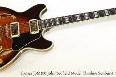 Ibanez JSM100 John Scofield Model Thinline Sunburst, 2009 Full Rear VIew