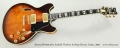 Ibanez JSM100 John Scofield Thinline Archtop Electric Guitar, 2004 Full Front View