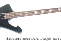 Ibanez SDB1 Iceman 'Sharlee D'Angelo' Bass Flat Black, 2008 Full Front View