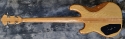 Ibanez_MusicianBass_1979(C)_Rear