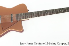 Jerry Jones Neptune 12-String Copper, 2007 Full Front View