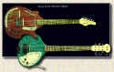 jerry_jones_electric_sitar