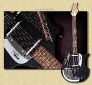 Jerry_Jones_Electric_Sitar_black