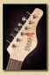 Jerry_Jones_Electric_Sitar_blackb