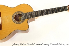 Johnny Walker Grand Concert Cutaway Classical Guitar, 2010 Full Front View