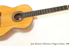 Jose Romero Flamenco Negra Guitar, 1996 Full Front View