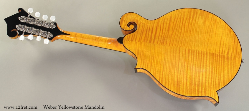 Weber Yellowstone Mandolin full rear view