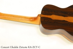 Kala Concert Ukulele Ziricote KA-ZCT-C    Full Rear View