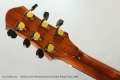 Anthony Karol Brazilian Rosewood Steel String Guitar, 2003 Head Rear View