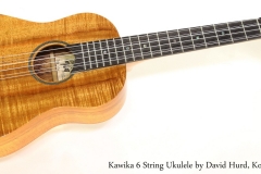 Kawika 6 String Ukulele by David Hurd, Koa 1996  Full Front View