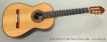 Kenny Hill Torres 1856 Classical Guitar, 2006 Full Front View