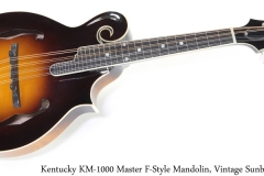 Kentucky KM-1000 Master F-Style Mandolin, Vintage Sunburst Full Front View