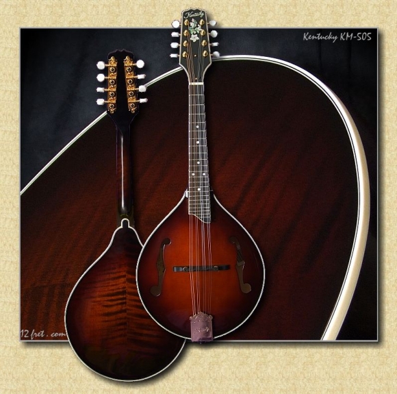 Kentucky_KM-505_mandolin