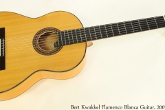 Bert Kwakkel Flamenco Blanca Guitar, 2007 Full Front View