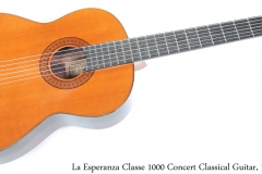 La Esperanza Classe 1000 Concert Classical Guitar, 1979 Full Front View