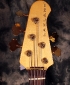 Lakland_head_front