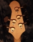 lakland_head_back