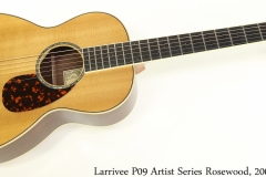 Larrivee P09 Artist Series Rosewood, 2006 Full Front View