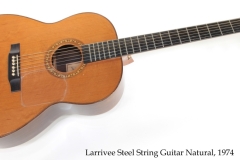 Larrivee Steel String Guitar Natural, 1974 Full Front View