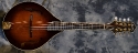 Larrivee_A33 Mandolin_(Used)