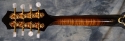 Larrivee_A33 Mandolin_(Used)_neck