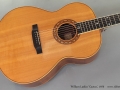 William Laskin Cactus Guitar 1976 top