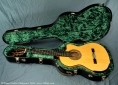 laskin-cook-flamenco-case-open-1