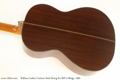 William Laskin Custom Steel String for Bill Collings, 1992 Back View