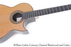WIlliam Laskin Cutaway Classical Blackwood and Cedar, 2017 Full Front View