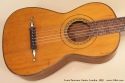 Louis Panormo Guitar 1838 top