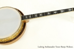 Ludwig Ambassador Tenor Banjo Walnut, 1926 Full Front View