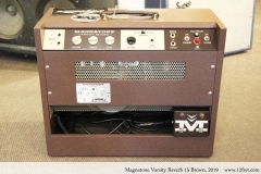Magnatone Varsity Reverb 15 Brown, 2019 Full Rear View