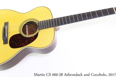 Martin CS 000-28 Adirondack and Cocobolo, 2017 Full Front View