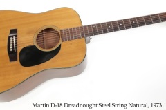 Martin D-18 Dreadnought Steel String Natural, 1973 Full Front View