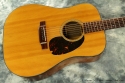 Martin D-21 1966 top