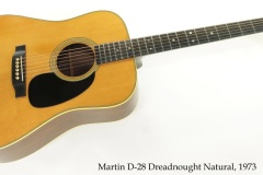 Martin D-28 Dreadnought Natural, 1973 Full Front View