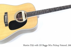 Martin D35 with LR Baggs M1a Pickup Natural, 2008 Full Front View