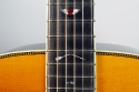 Martin_CSN_Tolman_2007_cons_inlays_1