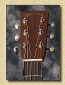 Martin_D28_Marquis_Madagascar_Headstock