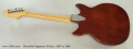 Microfrets Signature Electric, 1967 to 1969 Full Rear View