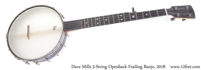 Dave Mills Frailing Banjo 5-String Openback, 2018 Full Front View